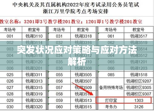 突发状况应对策略与应对方法解析