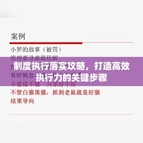 制度执行落实攻略，打造高效执行力的关键步骤