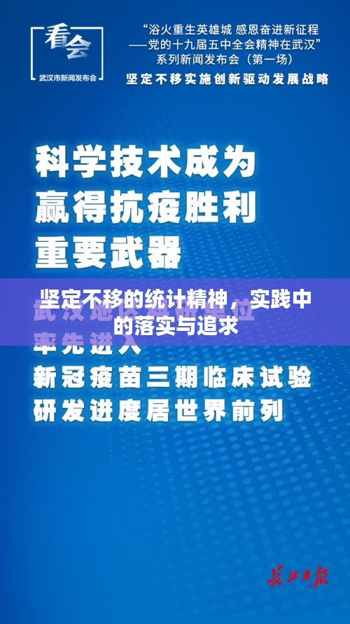 坚定不移的统计精神，实践中的落实与追求