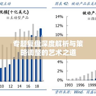 专题复盘深度解析与策略调整的艺术之道