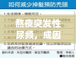 熬夜突发性尿频，成因解析、预防策略与治疗方法