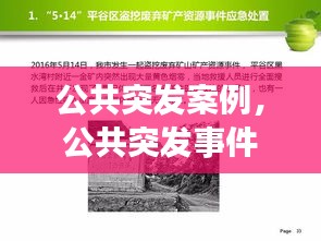 公共突发案例，公共突发事件处理原则 