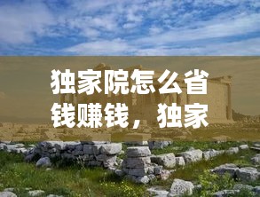 独家院怎么省钱赚钱，独家独院的房子设计图 