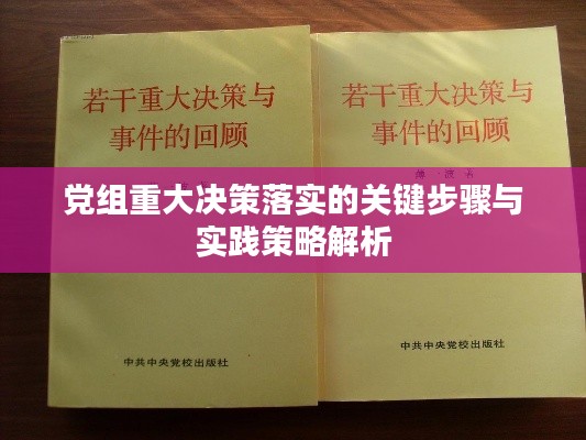 党组重大决策落实的关键步骤与实践策略解析