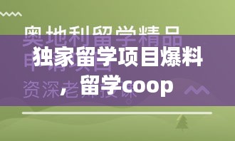 独家留学项目爆料，留学coop 