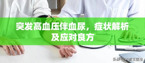 突发高血压伴血尿，症状解析及应对良方