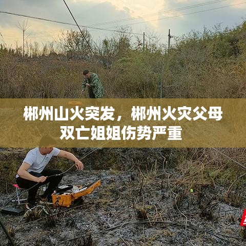 郴州山火突发，郴州火灾父母双亡姐姐伤势严重 