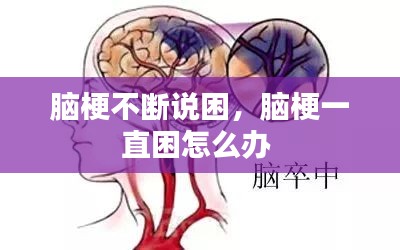 脑梗不断说困，脑梗一直困怎么办 