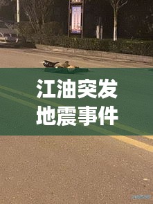 江油突发地震事件，刚才江油哪里又地震了 