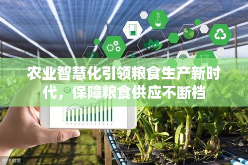 农业智慧化引领粮食生产新时代，保障粮食供应不断档