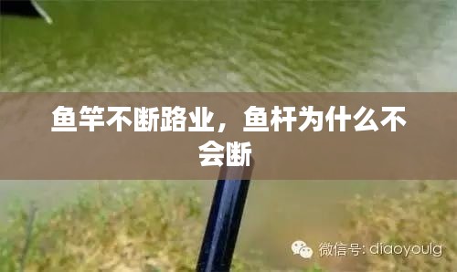 鱼竿不断路业，鱼杆为什么不会断 