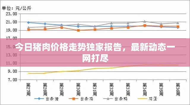 今日猪肉价格走势独家报告，最新动态一网打尽