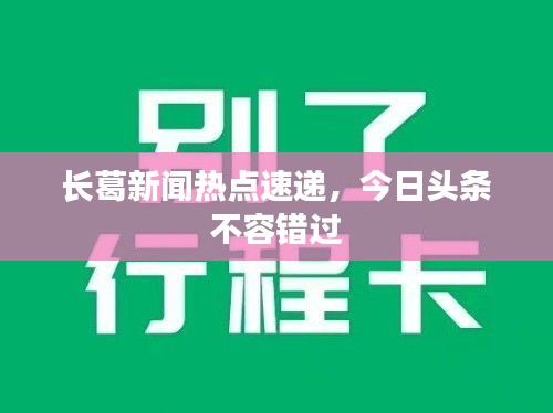 长葛新闻热点速递，今日头条不容错过