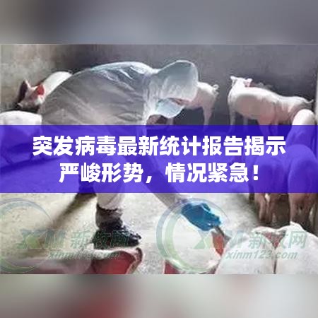 突发病毒最新统计报告揭示严峻形势，情况紧急！