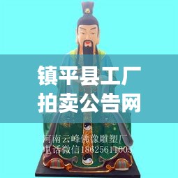 镇平县工厂拍卖公告网实时更新，最新动态揭秘！