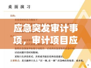 应急突发审计事项，审计项目应急保障方案 