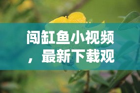 闯缸鱼小视频，最新下载观看指南，精彩内容一网打尽