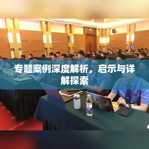 专题案例深度解析，启示与详解探索