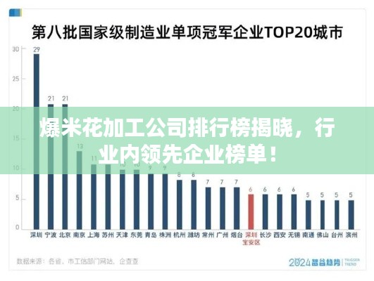 爆米花加工公司排行榜揭晓，行业内领先企业榜单！