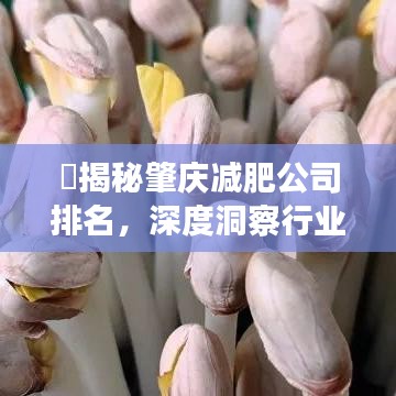 ​揭秘肇庆减肥公司排名，深度洞察行业现状！