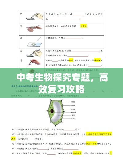 中考生物探究专题，高效复习攻略