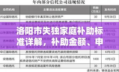 洛阳市失独家庭补助标准详解，补助金额、申请条件及流程解析