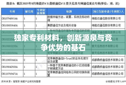 独家专利材料，创新源泉与竞争优势的基石