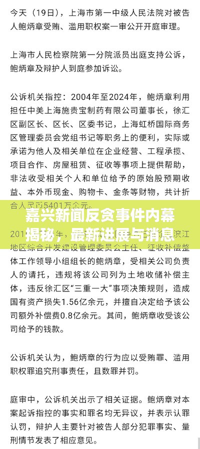 嘉兴新闻反贪事件内幕揭秘，最新进展与消息汇总