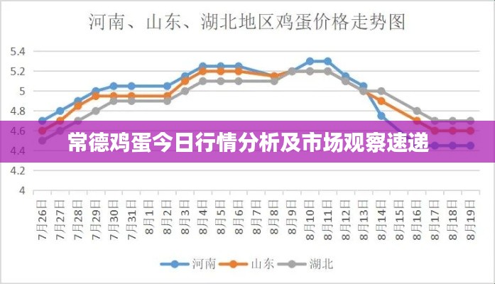 常德鸡蛋今日行情分析及市场观察速递