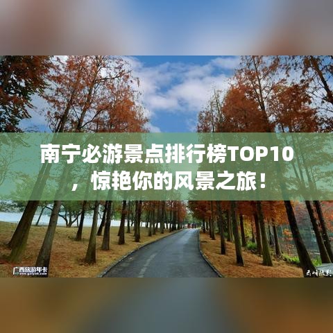 南宁必游景点排行榜TOP10，惊艳你的风景之旅！