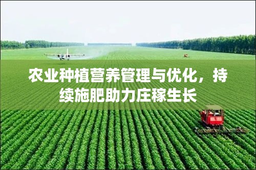 农业种植营养管理与优化，持续施肥助力庄稼生长