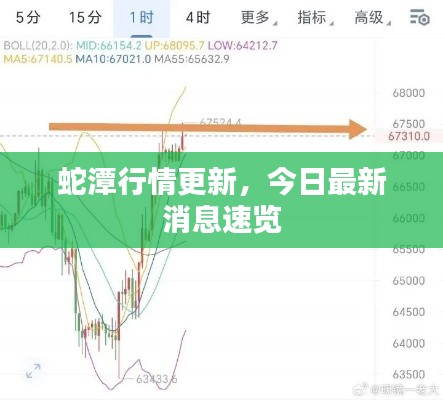 蛇潭行情更新，今日最新消息速览