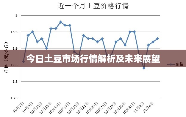 今日土豆市场行情解析及未来展望