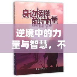 逆境中的力量与智慧，不断求助的名人如何逆境前行