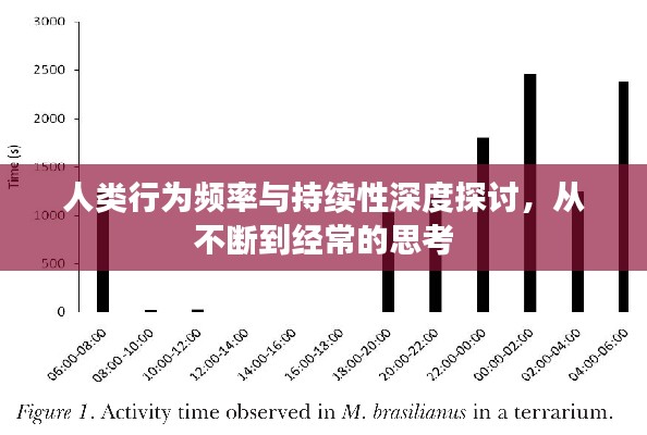 人类行为频率与持续性深度探讨，从不断到经常的思考