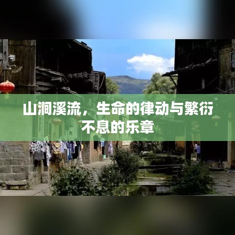 山涧溪流，生命的律动与繁衍不息的乐章