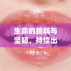 生命的脆弱与坚韧，持续出血的挑战与希望之路