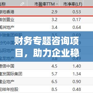 财务专题咨询项目，助力企业稳健发展的核心引擎
