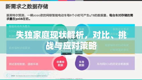 失独家庭现状解析，对比、挑战与应对策略