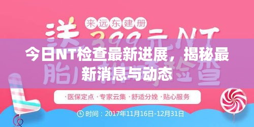 今日NT检查最新进展，揭秘最新消息与动态