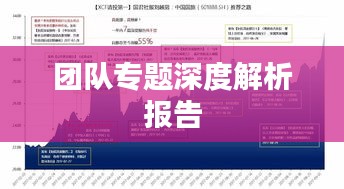 团队专题深度解析报告