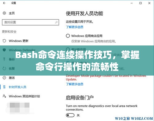 Bash命令连续操作技巧，掌握命令行操作的流畅性