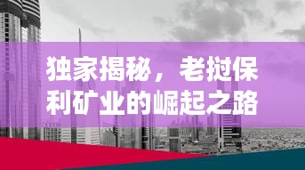 独家揭秘，老挝保利矿业的崛起之路与面临挑战