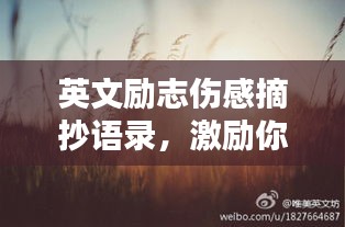 英文励志伤感摘抄语录，激励你前行的力量