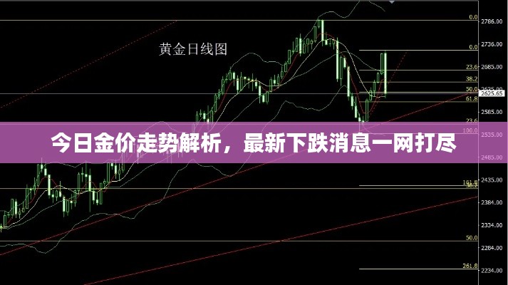 今日金价走势解析，最新下跌消息一网打尽