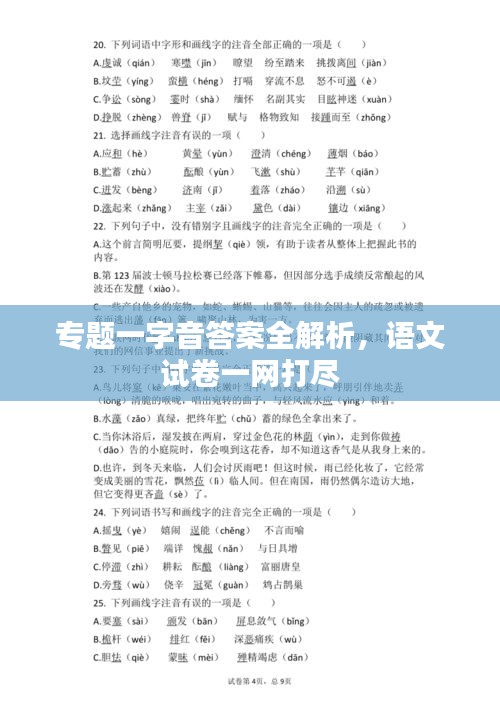 专题一字音答案全解析，语文试卷一网打尽