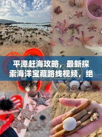 平潭赶海攻略，最新探索海洋宝藏路线视频，绝佳指南！