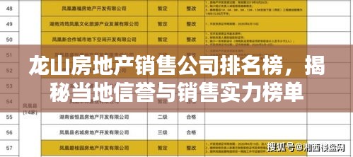 龙山房地产销售公司排名榜，揭秘当地信誉与销售实力榜单