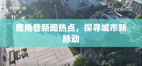 鹿角巷新闻热点，探寻城市新脉动