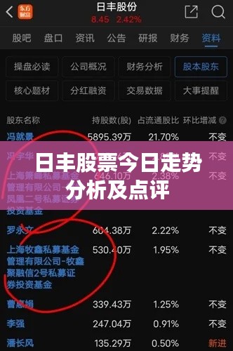 日丰股票今日走势分析及点评